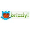 Brizzly